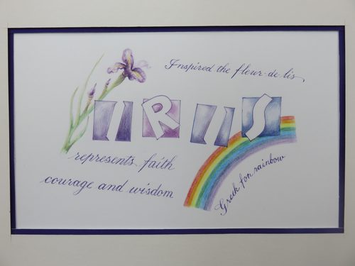 Sheila, Iris, botanical watercolour & calligraphy.